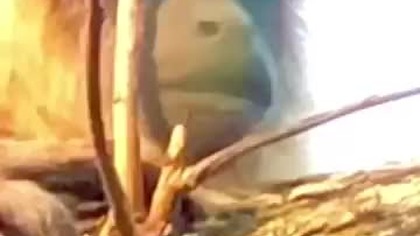 NAUGHTY BY NATURE#real mc coy#rmx #bzlcrmc