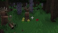 ciekawe zwierzątka spotkałem #minecraft #gaming #survival #games