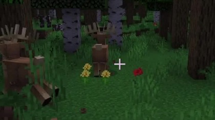 ciekawe zwierzątka spotkałem #minecraft #gaming #survival #games