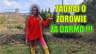 ZA DARMO - z natury - CO ZBIERAĆ W PRZEDWIOŚNIU ?