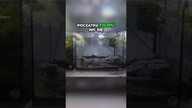 Ziemia ogrodowa w akwarium #aquascape #akwarium #akwarystyka