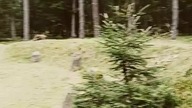 Kamienne Kręgi Gotów w Grzybnicy! Rezerwat archeologiczny I-IV w. n. e Świąteczny Spacer!