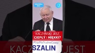 Kaczyński jest ciepły i miękki? #shorts
