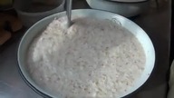 Karmienie małych miśk&oacute;w