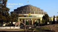 Wroclaw ZOO 2017