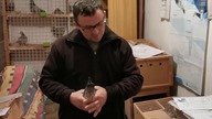 Z wizytą u kolegi Bogdana Nieradki - gołębie lini Vos 94 cz.  2