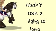 Bang My Head MSP Version