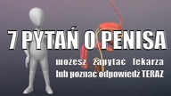 7 pytań o PENISA