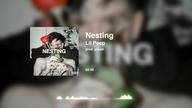 Lil Peep - Nesting / Prophecy