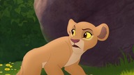 S01E20 Pawiany
