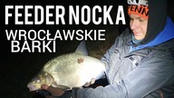 265 FEEDER NOCKA NA WROCŁAWSKICH BARKACH