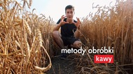 Metody obróbki KAWY.  Czajnikowy.pl