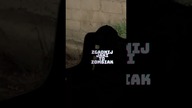 Zgadnij jaki to ZOMBIAK