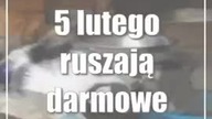 Świdnik: Bezpłatna pomoc dla zwierząt