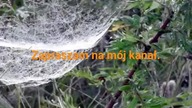 Przyjemna muzyka i wiersze