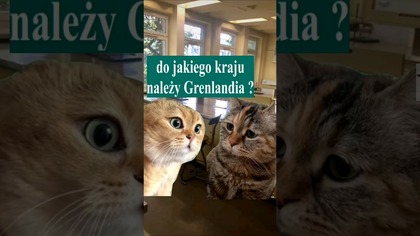 do jakiego kontynentu należy Grenlandia ? 4k