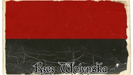 Dlaczego doszło do rzezi wołyńskiej?