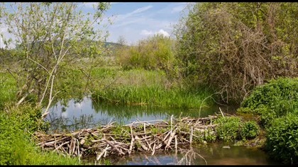 36 Wiedzmin Czas pogardy - Rozdział 5 - CDA