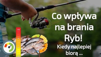 Co wpływa na brania Ryb - Wędkarstwo