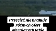 Antarktyda co to jest to zielone