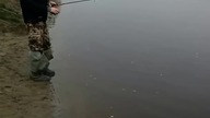 Nietypowy gość na rybach