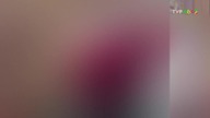 TVP ABC 2- logo 15. 02. 2022