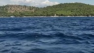 Spokojny dzień na Adriatyku #shorts #travel #nature #ocean #drone #view #relax