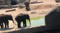 Tymczasem w ZOO