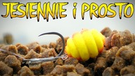 JESIENNIE i PROSTO - Method Feeder im DALEJ TYM LEPIEJ - Wędkarstwo Jesienią