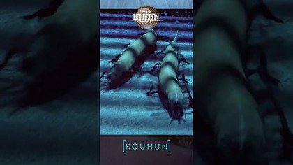 Przerażające potwory i istoty DATACRON #podcast #starwars #film