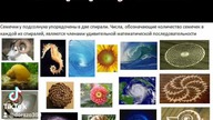 ciąg Fibonacciego tak zwana złota proporcja w przyrodzie kosmosie wszechświecie architekturze Dorazo