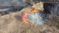 Gorzów: Pożar traw koło Castoramy.  Akcja straży pożarnej