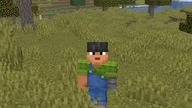 ZAPOMNIANA FUNKCJA W MINECRAFT?