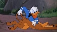Kaczor Donald - Lew tu i lew tam (1950)
