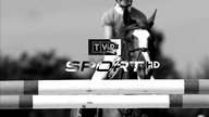 TVP Sport HD- pętla (2016) (Wersja neon)