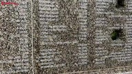 Powstanie trwa.  Śr.  9. 8. 2023r.  Rodacy Kamraci, Wojciech Olszański, Marcin Osadowski