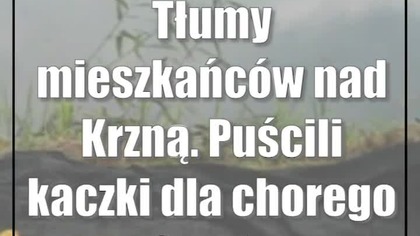 Tłumy mieszkańców nad Krzną.  Puścili kaczki dla chorego Stasia