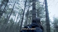Entity 2012 PLSUBBED. DVDRiP. XViD-AZT