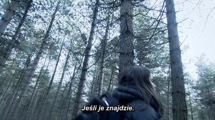 Entity 2012 PLSUBBED. DVDRiP. XViD-AZT