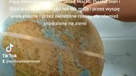 równik zwrotniku raka odkrycie trzech piramid w linii oraz Wyspy wielkanocnej
