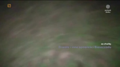 POLSATDOKU - 27-12-2024 - Reklamy, Ogłoszenia nadawcy, Sponsorzy