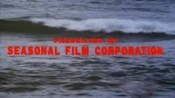 Amerykanin z Shaolin (American Shaolin, 1991.  Lektor PL)