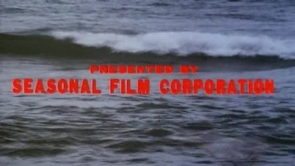Amerykanin z Shaolin (American Shaolin, 1991.  Lektor PL)