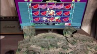 Red Cat Casino