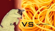 CAT VS SPAGHETTI