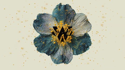 NeuroWulf - Senescence