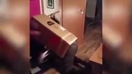 Pijany mężczyzna kontra karton