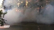 Life Like a Boss! (Breaking Videos )