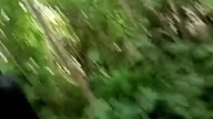 27° czyli lato w Koszalinie! Leśny Lipcowy Pies Rubik i Sarmata w dyskusji podczas wędrówki! Q&A!