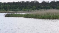 Zalew Sobolewo (Suwalszczyzna), 18. 06. 2020.